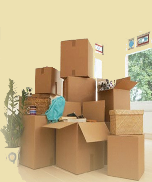 Avg Packers & Movers